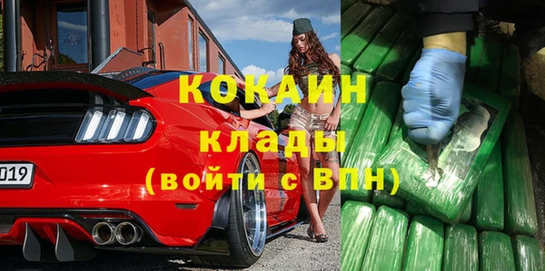 стаф Кинешма