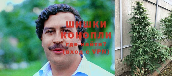 стаф Кинешма