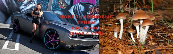 стаф Кинешма