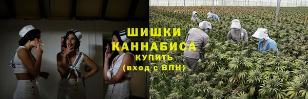 стаф Кинешма