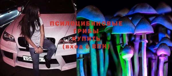 прущий лед Карпинск