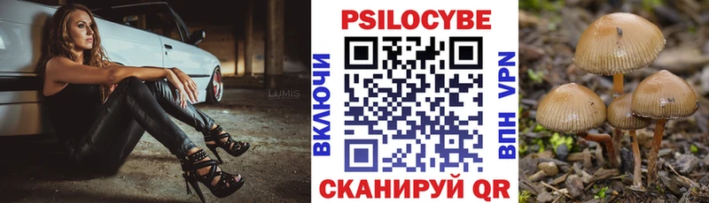 ссылка на мегу как войти  где можно купить наркотик  Уржум  Псилоцибиновые грибы прущие грибы 
