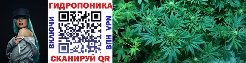 MEGA ТОР  Уржум  Шишки марихуана VHQ 